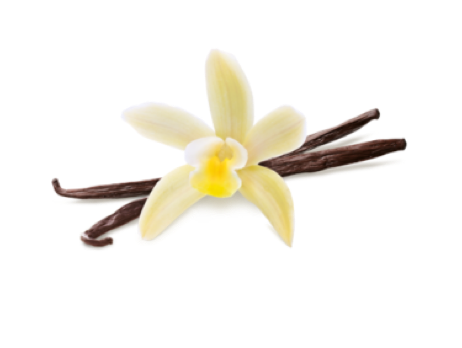 vanilla